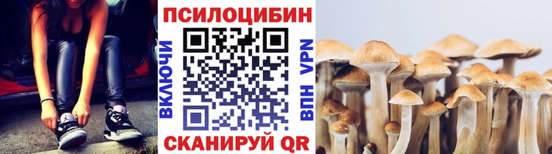 Псилоцибиновые грибы мицелий  Кочубеевское 